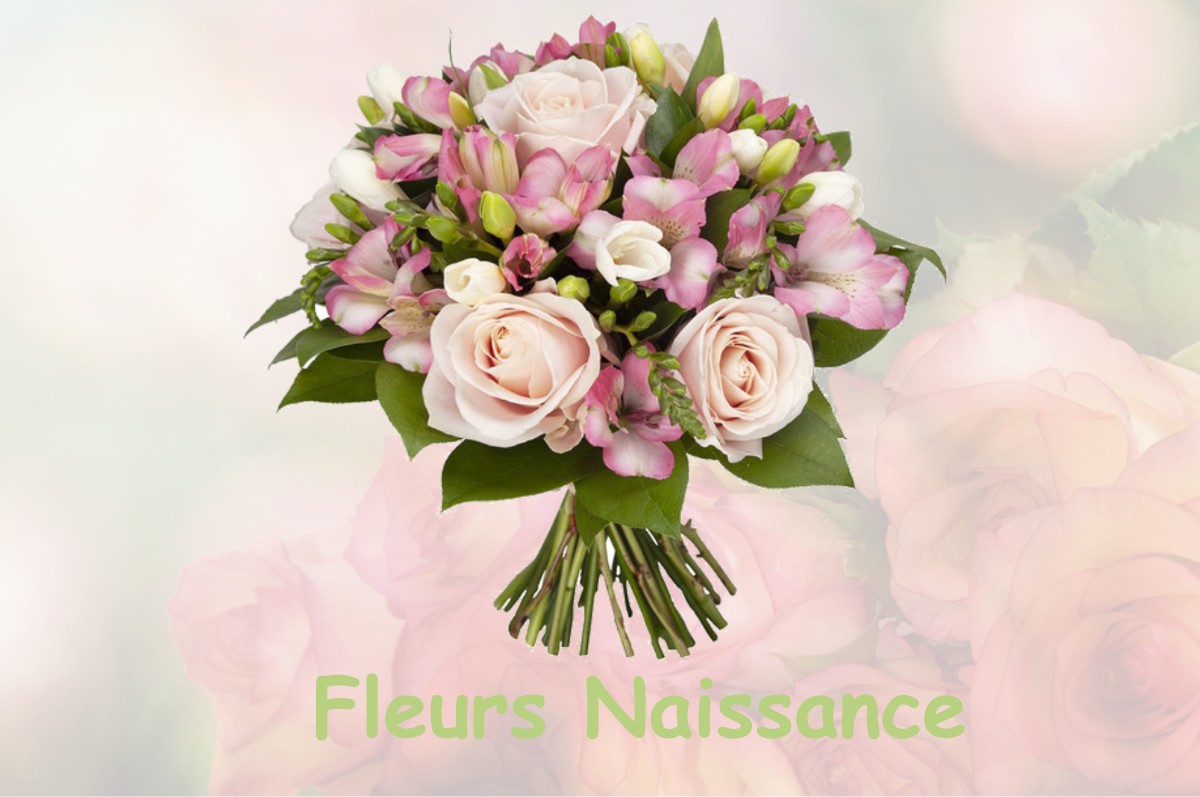 fleurs naissance VENTABREN