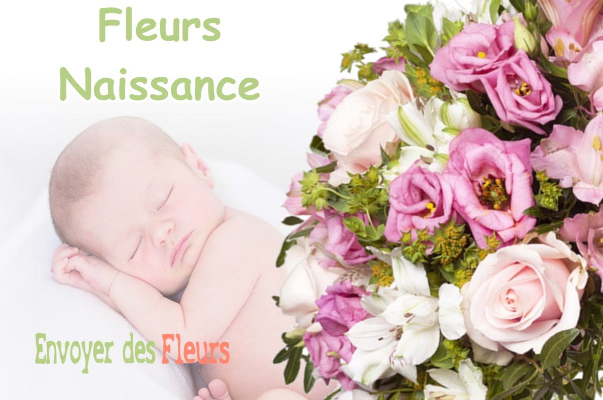 lIVRAISON FLEURS NAISSANCE à VENTABREN